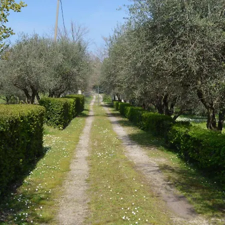 Belvilla By Oyo Degli Ulivi Casa vacanze *