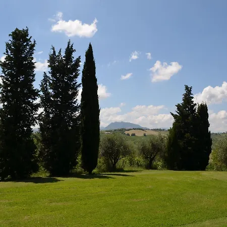 Belvilla By Oyo Degli Ulivi Holiday home Vergiano